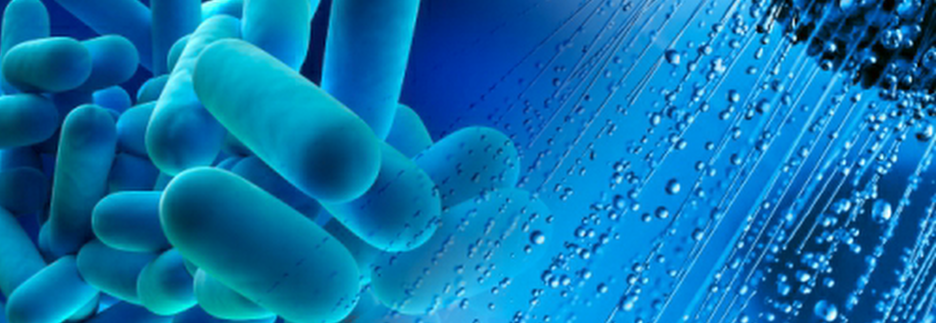 What Is Legionella 4i Water Services
