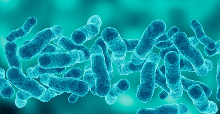 microscopic magnification Legionella pneumophila, Gram-negative bacillus that causes pneumonia microscopic magnification Legionella pneumophila, Gram-negative bacillus that causes pneumonia. 3d illustration